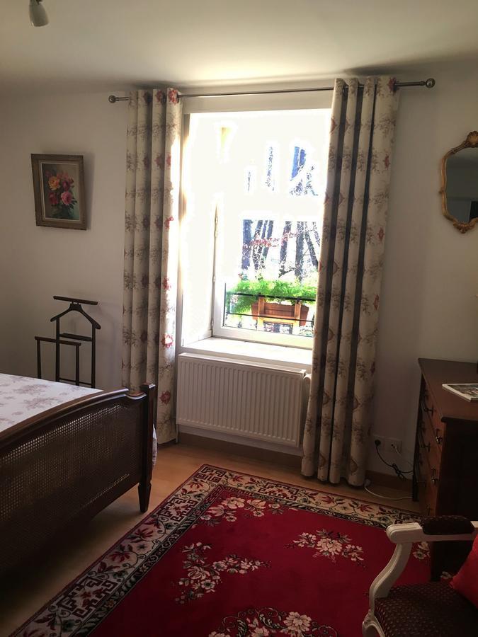 ベルリーヴ・シュル・アリエ L'Orangerie Bed & Breakfast エクステリア 写真